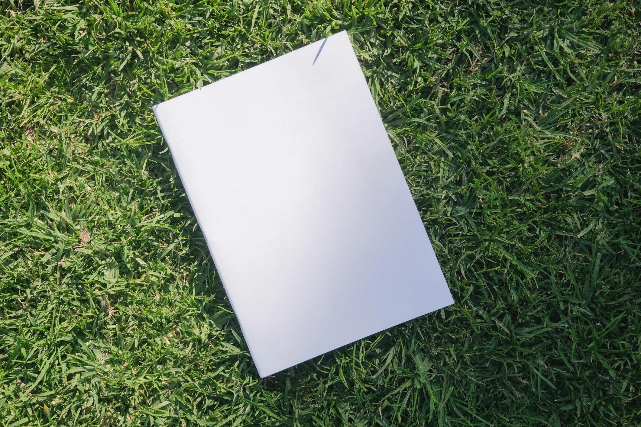 Magazine mockup on grass showing retail catalog presentation